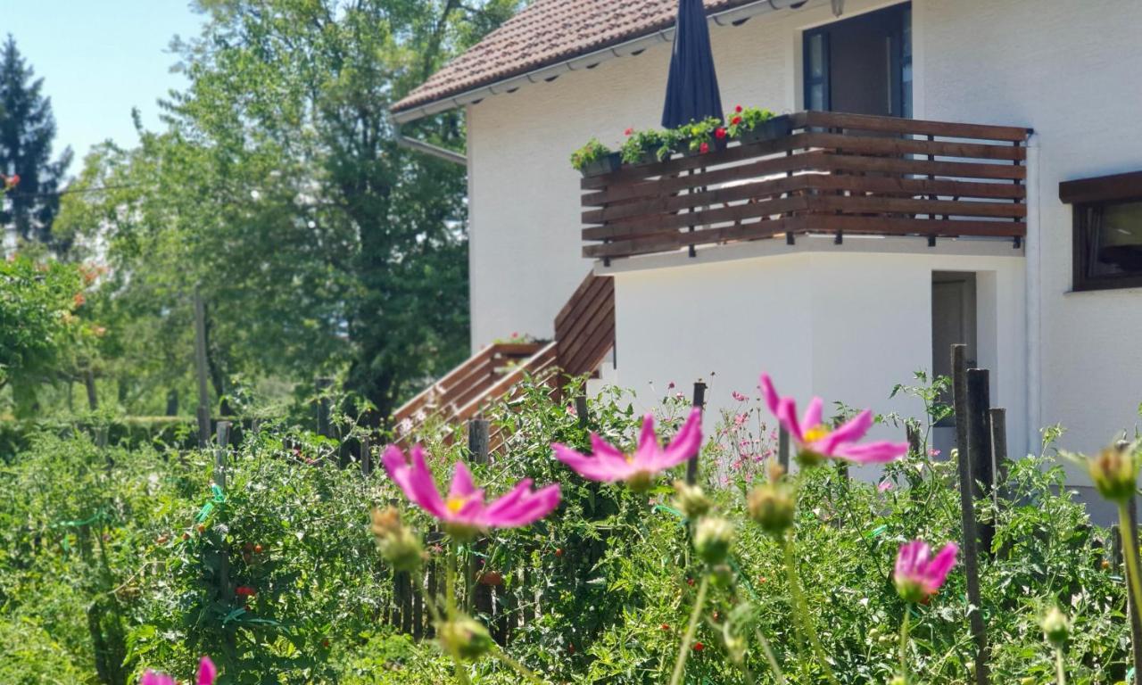 Apartment Murva Dreznik Grad ภายนอก รูปภาพ